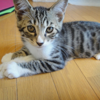 素敵なご家族にめぐり会う事が出来ました。ありがとうございました。