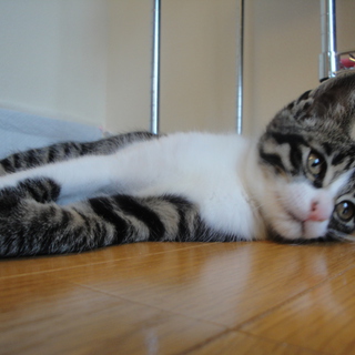 素敵なご家族にめぐり会う事が出来ました。ありがとうございました。