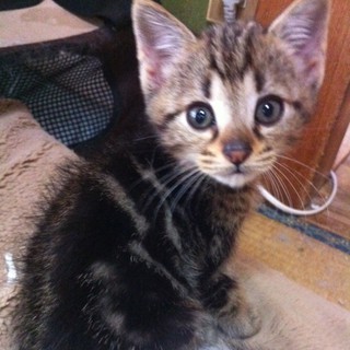 目がくりくりのイケメン！