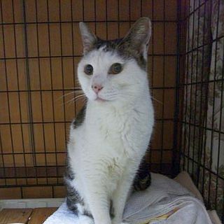 募集終了いたしました