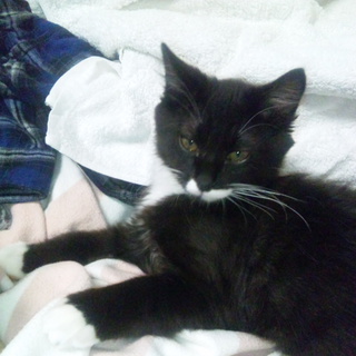 再投稿お願いします