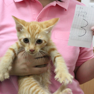 里親募集中！！