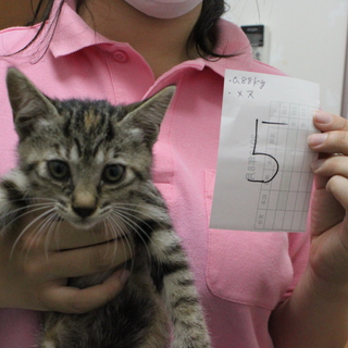 里親募集中！！