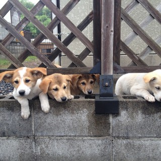 ありがとうございましたｍ（_ _)ｍ