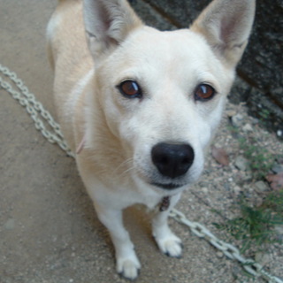 里親様がきまりました＾＾