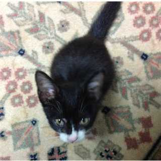 ありがとうございました！