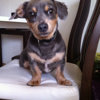 ありがとうございました