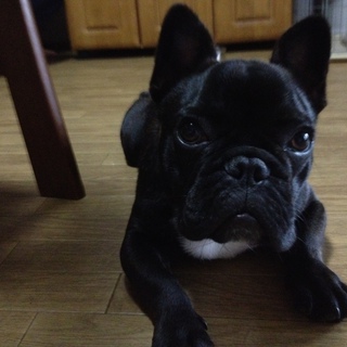 たくさんのご連絡ありがとうございました。一旦募集をしめきらせていただき返信をさせていただきます。