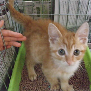 ありがとうございました！