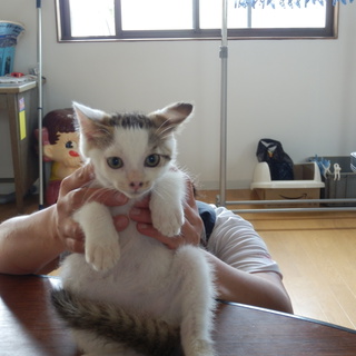 とても良いご縁があり幸せゲットしました