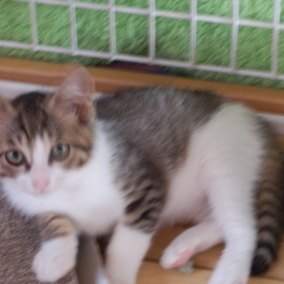 とてもいいご縁にめぐまれました。