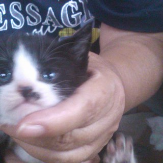 よろしくお願いします。