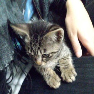 甘えん坊の男の子です☆