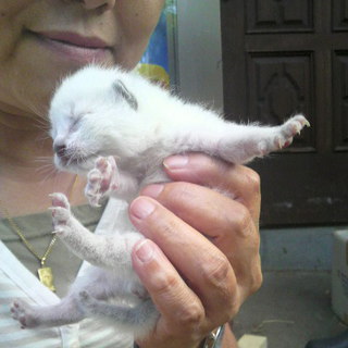 ありがとうございます☆素敵な里親さんと出会えました☆