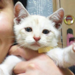 元気な男の子です！！