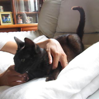 すばらしい良縁に恵まれました。ありがとうございました。