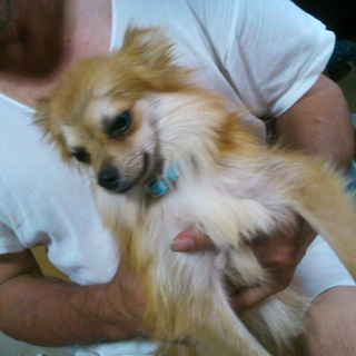 本当にありがとうございました。