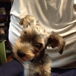 終了させていただきます