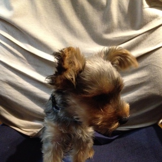 終了させていただきます