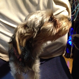 終了させていただきます