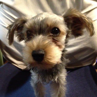 終了させていただきます