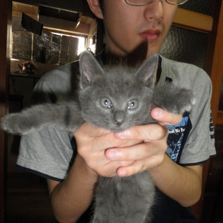 里親募集終了しました。