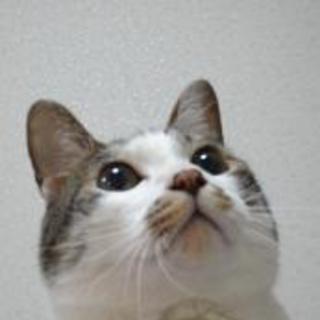 里親になっていただける方、探しています！！