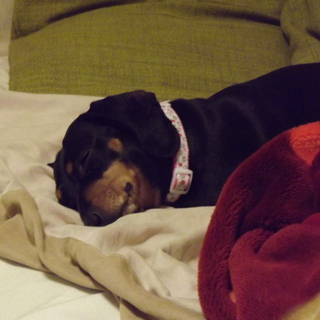 たくさんのご応募ありがとうございました。