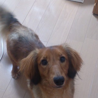 現在お問い合わせいただいてる方から決めさせて頂きたいと考えております。