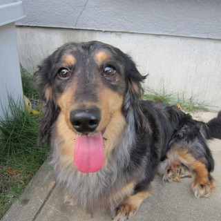 ありがとうございました！