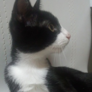 優しい里親さんに出会えました！！