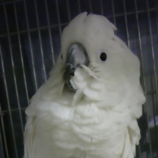 本当に沢山の問合せ、ありがとうございました。