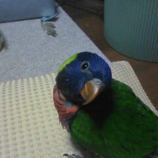 沢山の問合せ本当にありがとうございました。