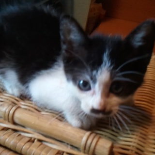 里親さん決定！！感謝！！