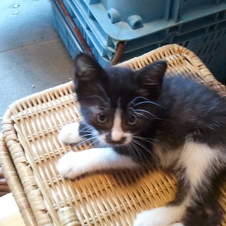 ありがとうございました。