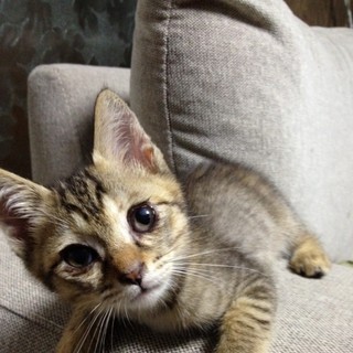 決まりました！