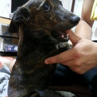 大切にしてくれる方募集。