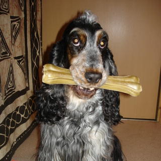 皆様感謝です。ありがとうございました。