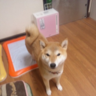 入院のため急募