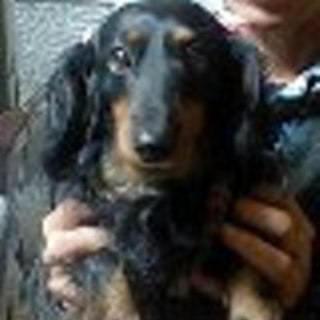 ＜緊急募集＞ありがとうございました。