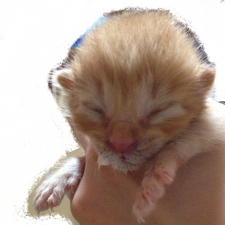 ご協力感謝致します。