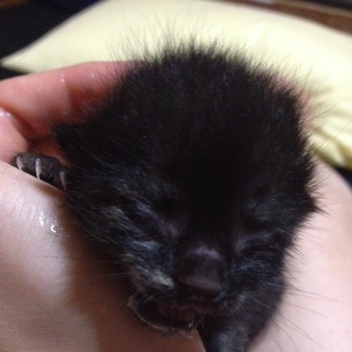 ご協力感謝致します。