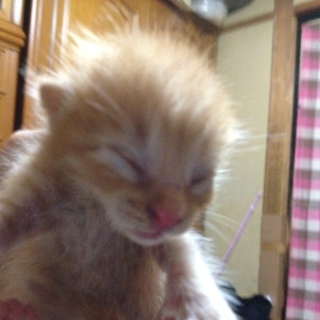 ご協力感謝致します。