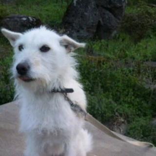 可愛がって下さる方