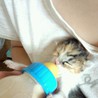 生後1週間弱の子猫達 サムネイル5