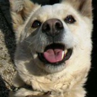 心臓病★★そらくん★８歳前後