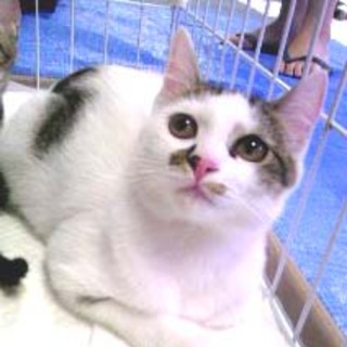 10ヶ月ぶーちゃん弟