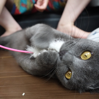 優しい家族に出会えました。ありがとうございます。