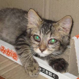 ベタベタキングさん（仮名）ありがとうございました