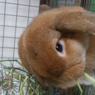 ありがとうございました！